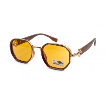 Окуляри фотохромні Polar Eagle 06153-C2