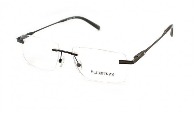 Оправа металева Blueberry 20AF4-C1