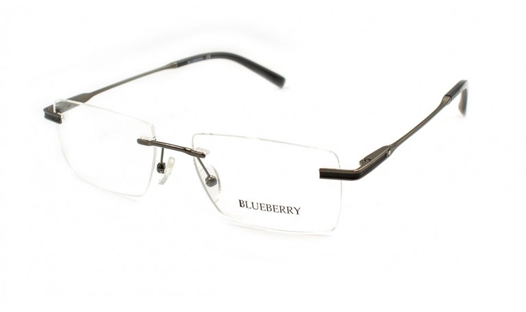 Оправа металева Blueberry 20AF4-C7
