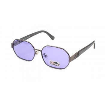 Окуляри фотохромні Polar Eagle PE06170-C5