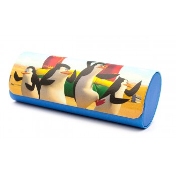 Футляр алюмінієвий для окулярів Style R-H8142-2C