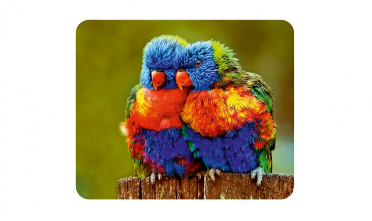 Серветка мікрофібра з малюнком 193 в упаковці