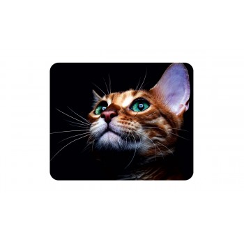 Серветка мікрофібра з малюнком 195 в упаковці