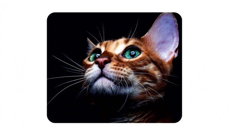 Серветка мікрофібра з малюнком 195 в упаковці