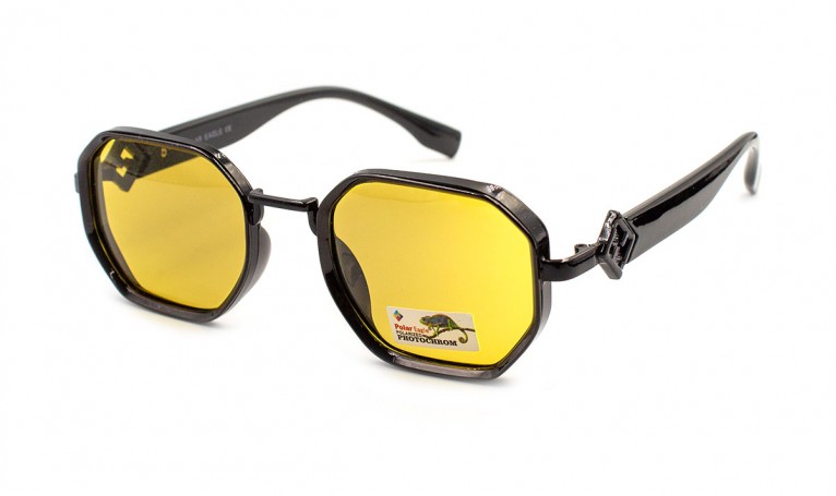 Окуляри фотохромні Polar Eagle 06153-C7